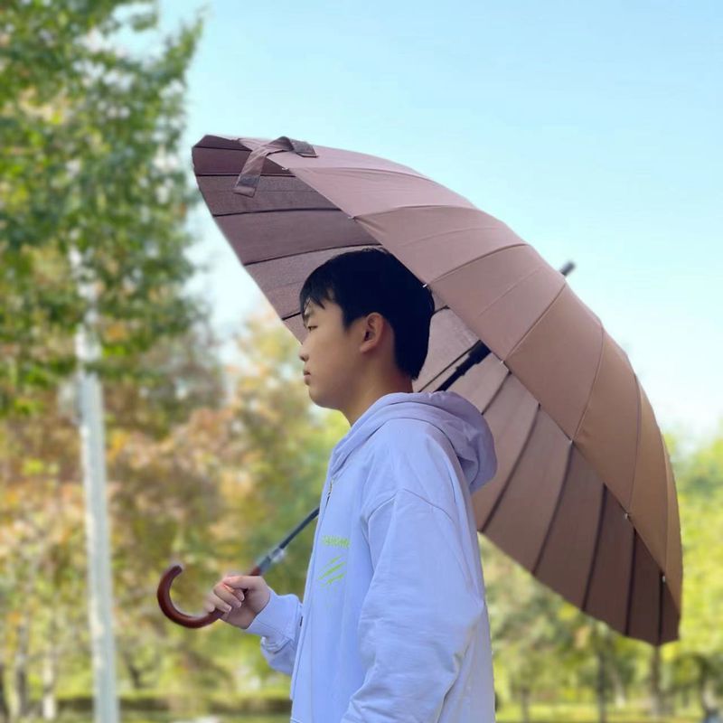 Heavy Duty Windproof Umbrella  – Golf Umbrella Large Bewertung und Preis